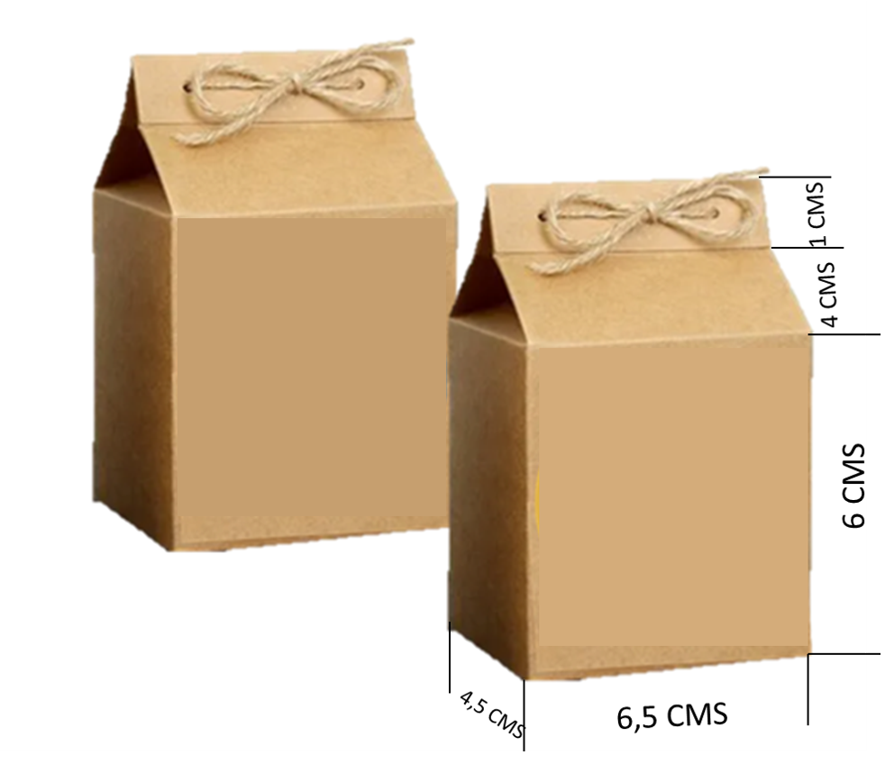 MILK BOX CRAFT 