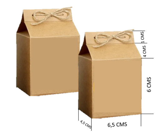 CAJITA MILK BOX CRAFT